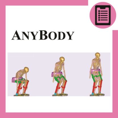تصویر از آموزش AnyBody